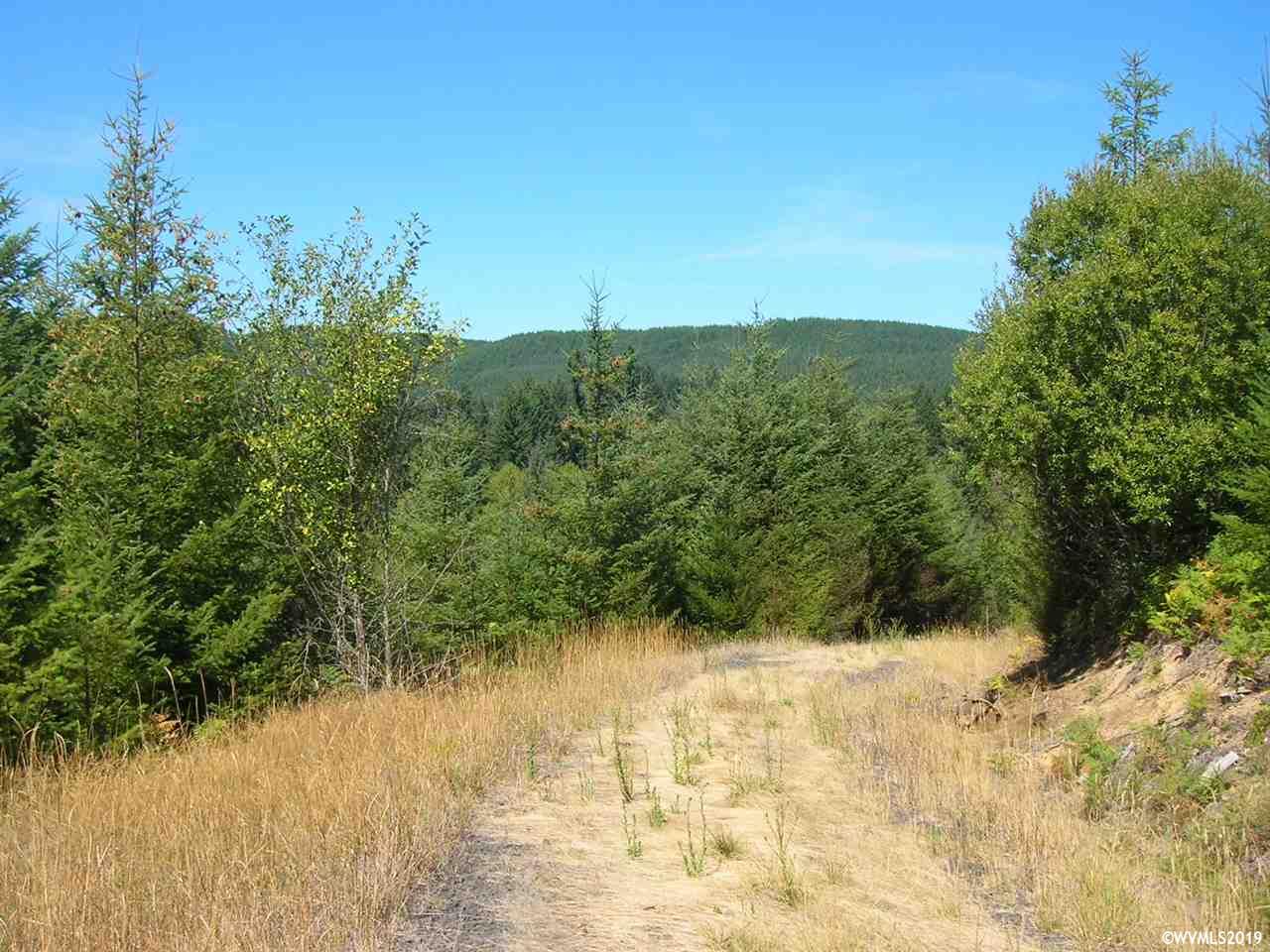 Mollenhour ( 2) Road Scappoose, OR 97056 - Photo 4 of 5