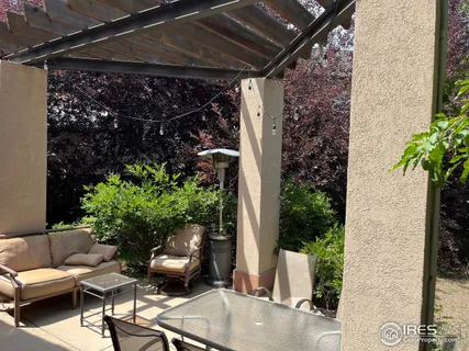 a view of backyard with plants