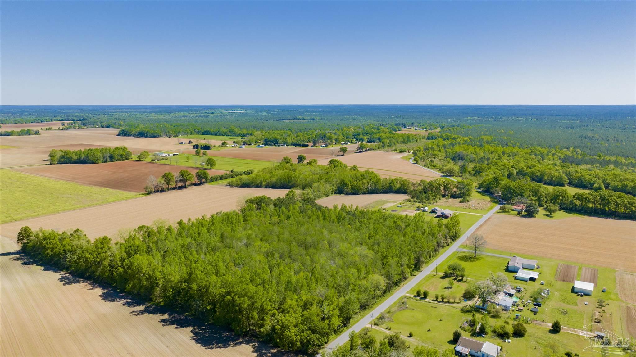 6594 Will Jones Road Jay, FL 32565 - Photo 2 of 10