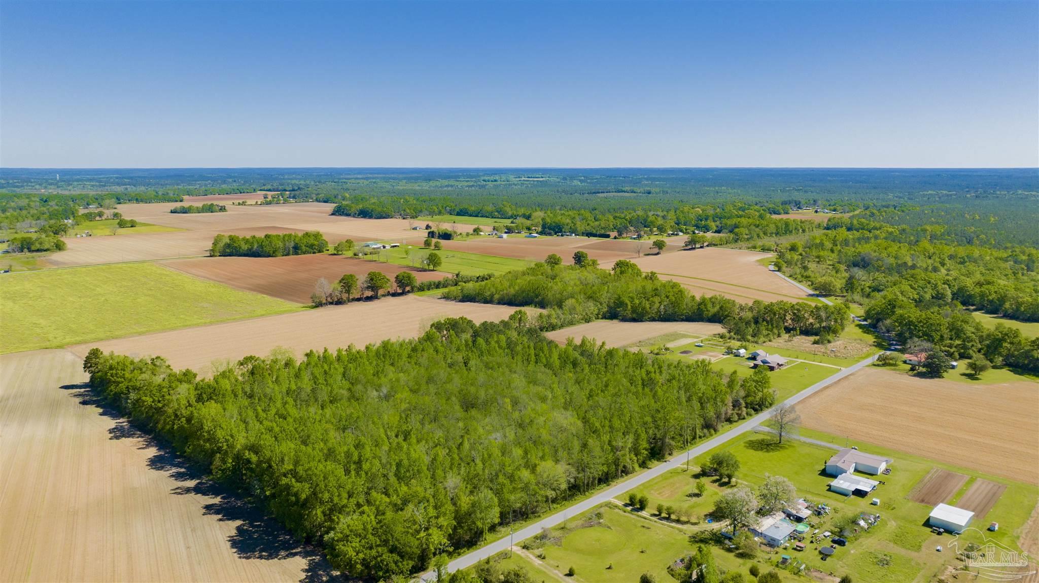 6594 Will Jones Road Jay, FL 32565 - Photo 3 of 10