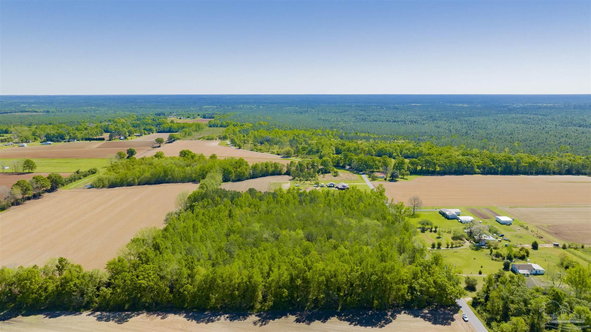 6594 Will Jones Road Jay, FL 32565 - Photo 4 of 10