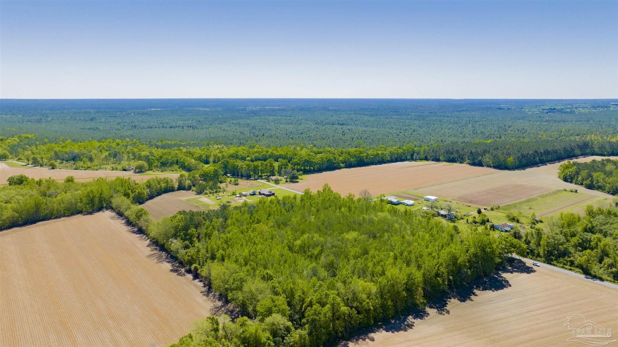 6594 Will Jones Road Jay, FL 32565 - Photo 5 of 10