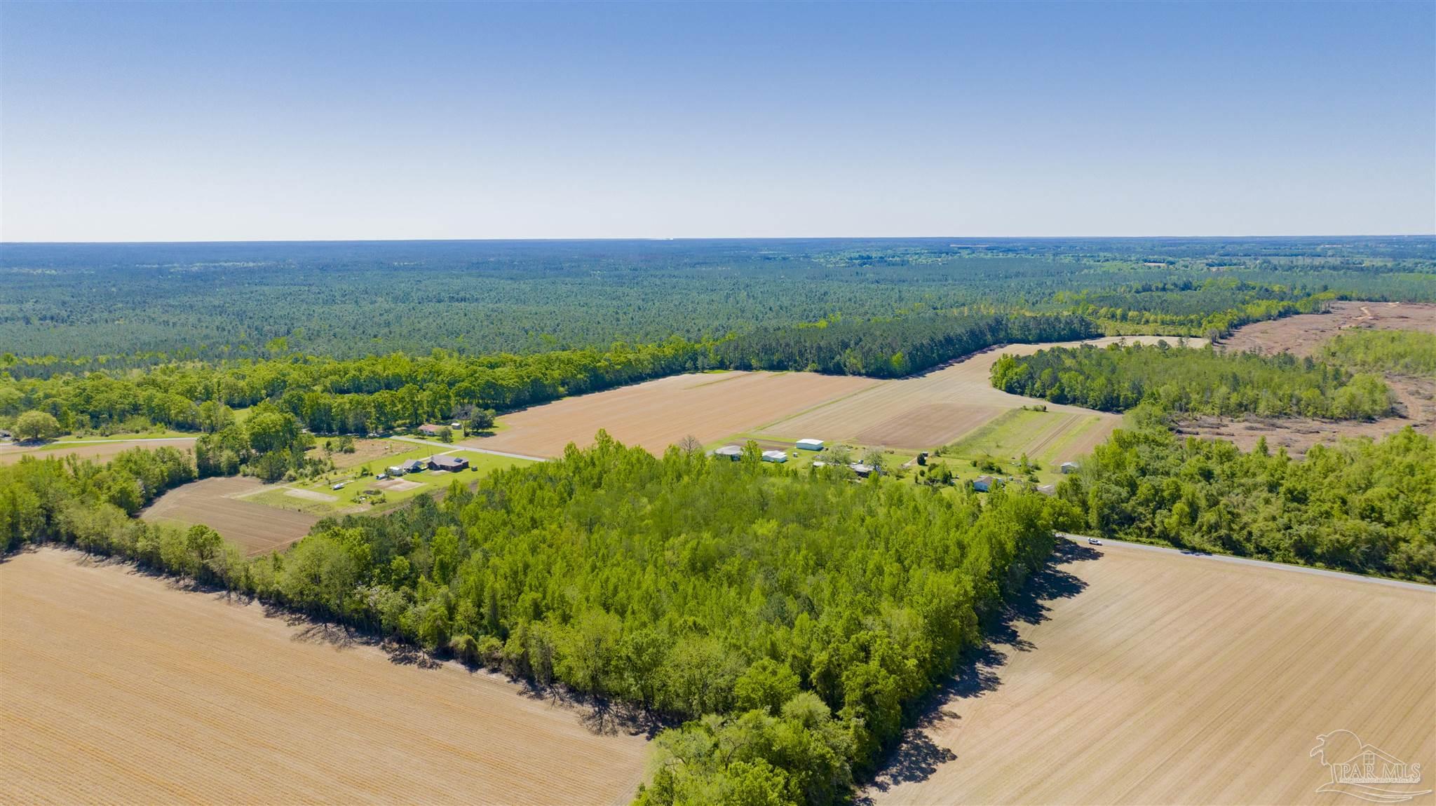 6594 Will Jones Road Jay, FL 32565 - Photo 6 of 10