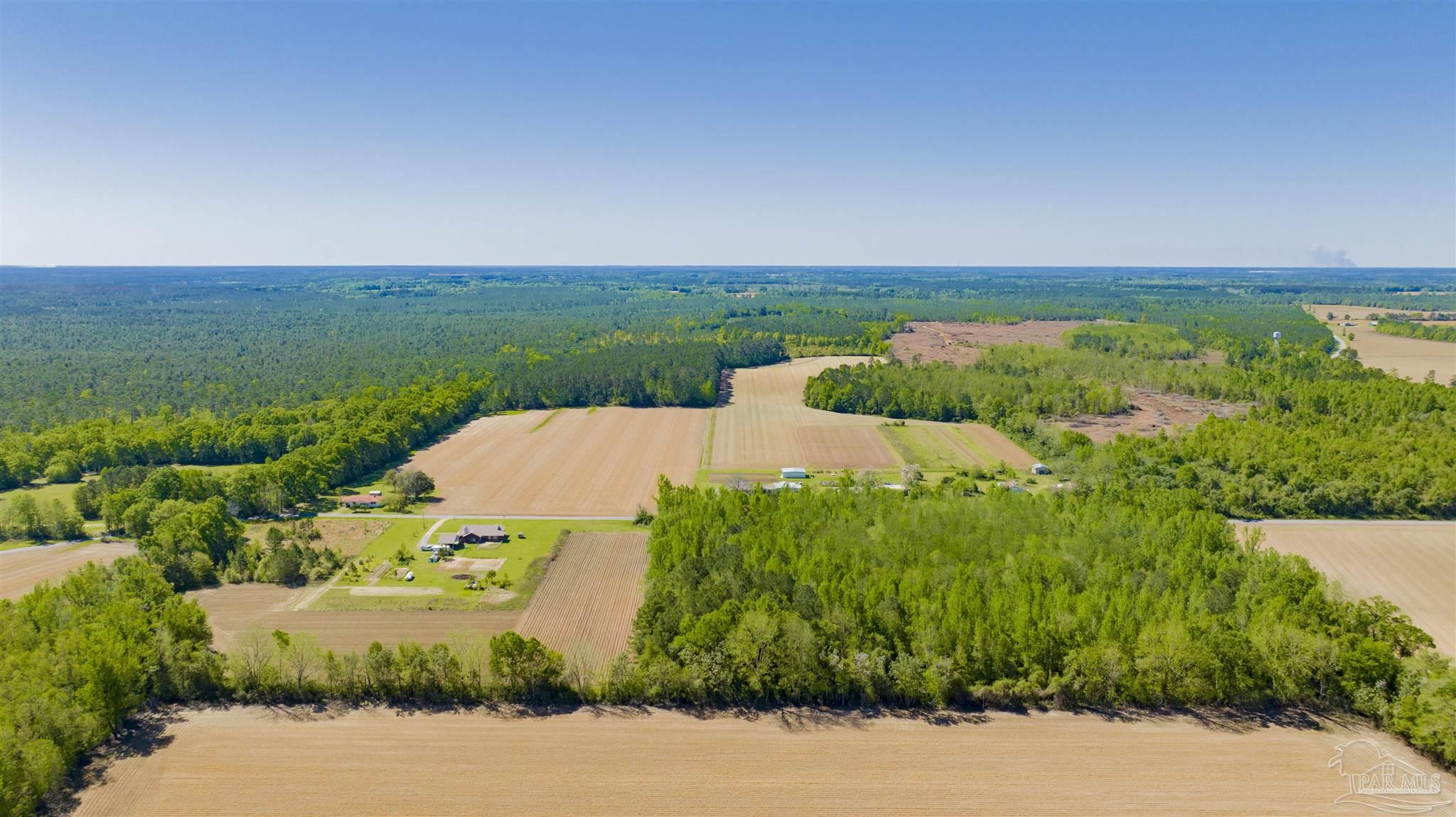 6594 Will Jones Road Jay, FL 32565 - Photo 7 of 10