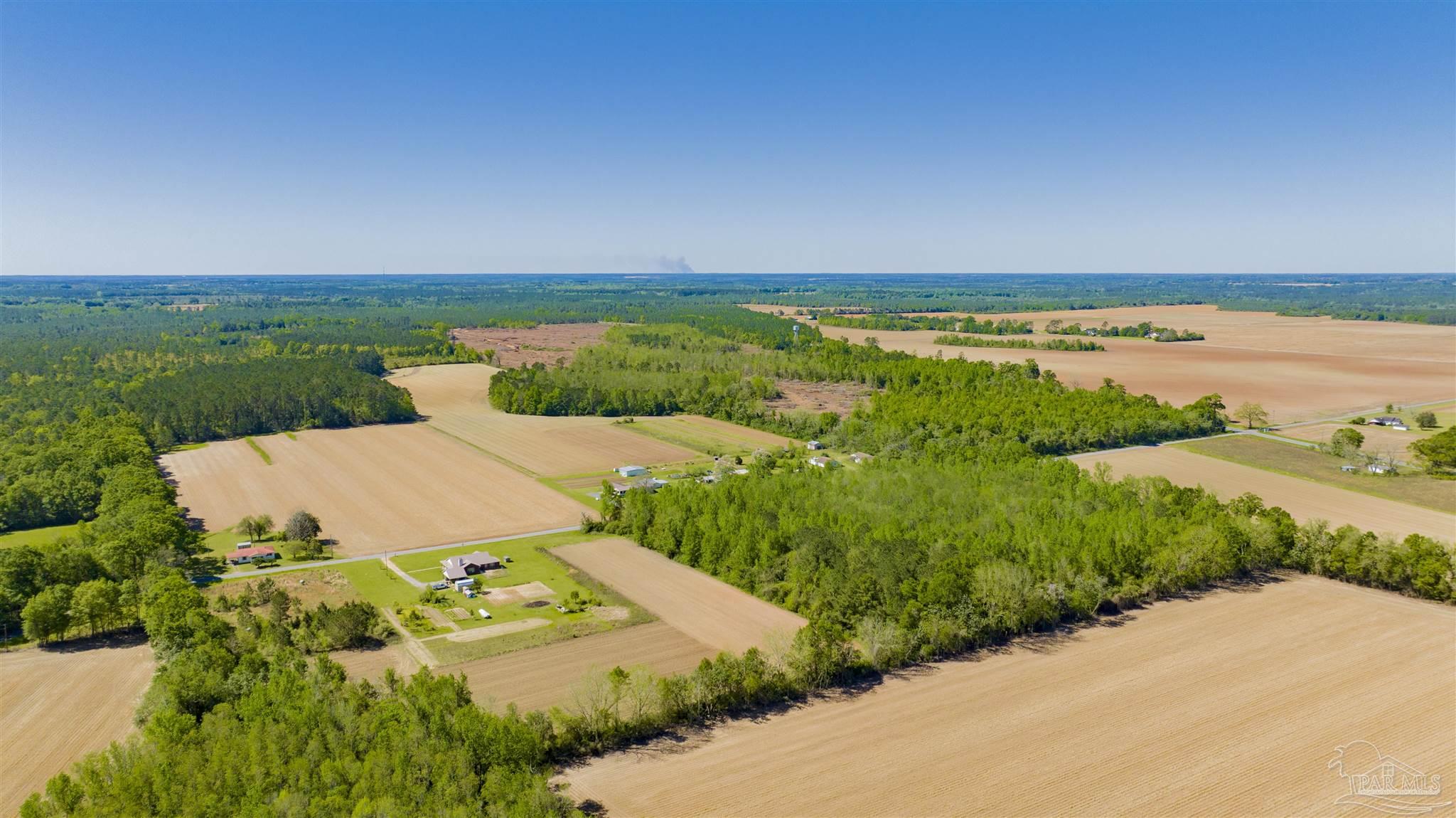 6594 Will Jones Road Jay, FL 32565 - Photo 8 of 10