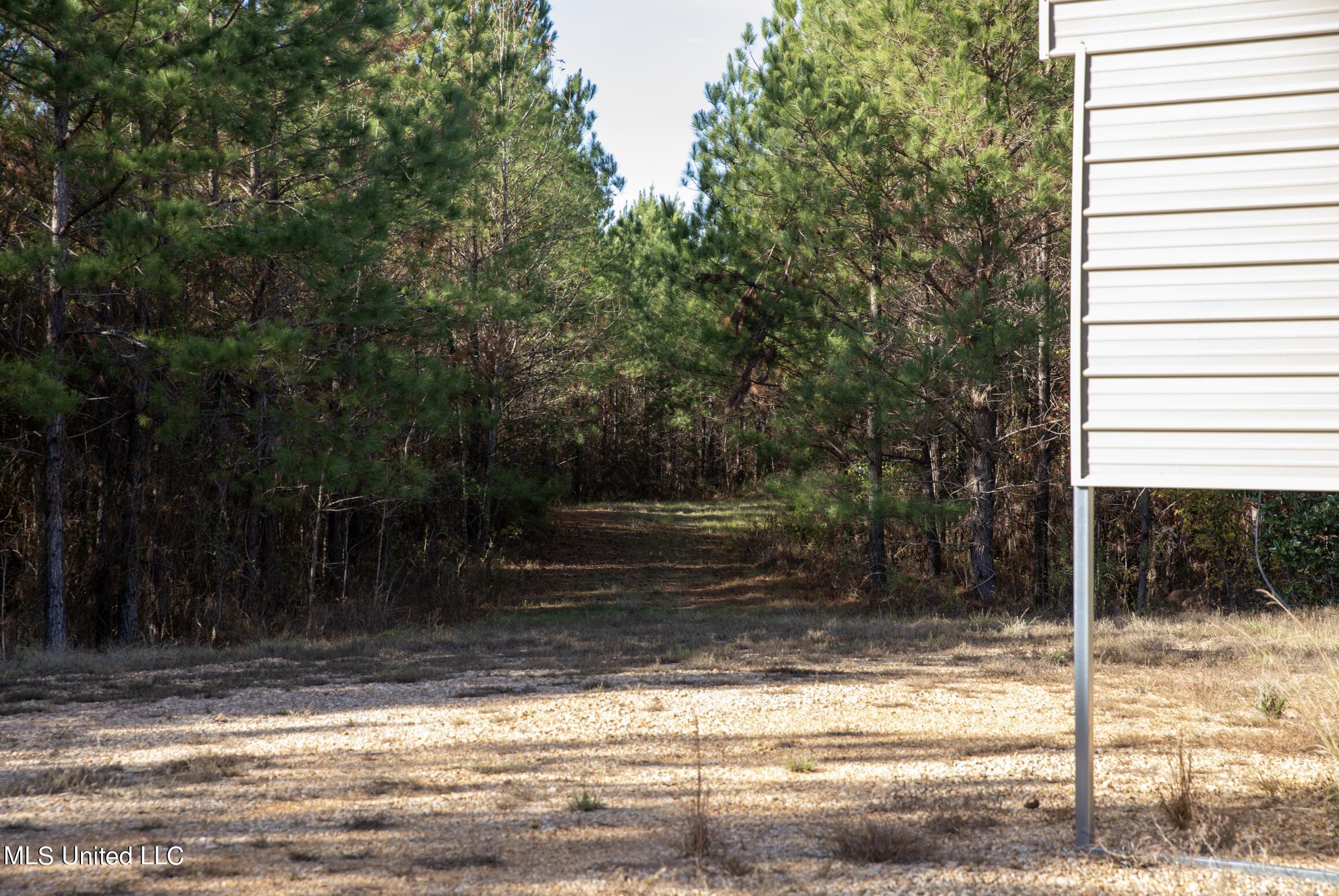 4066 Tower Road Wesson, MS 39191 - Photo 12 of 38 Screen Shot 2023-12-13 at 5.18.52 PM