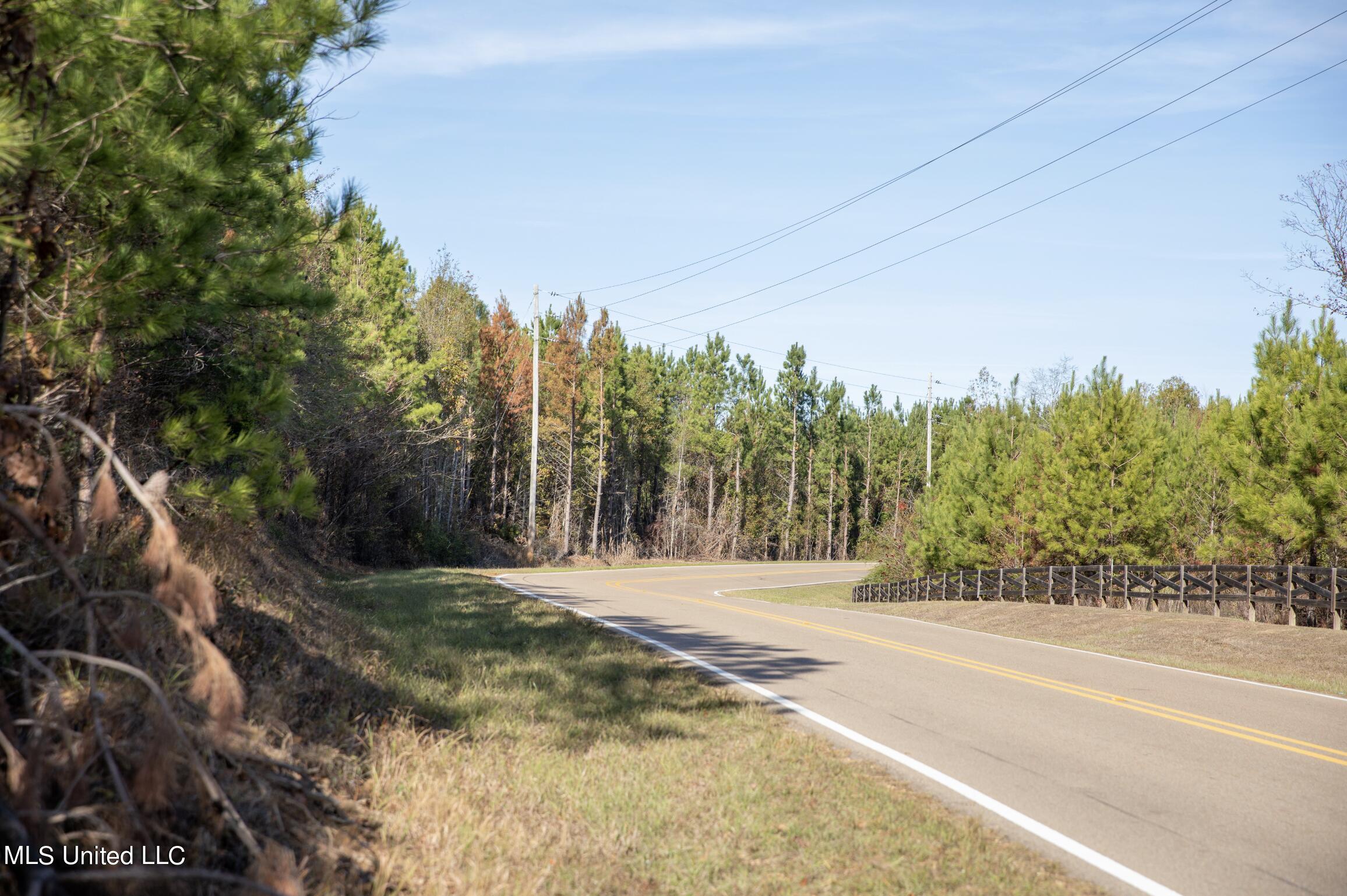 4066 Tower Road Wesson, MS 39191 - Photo 14 of 38 Screen Shot 2023-12-13 at 5.19.44 PM