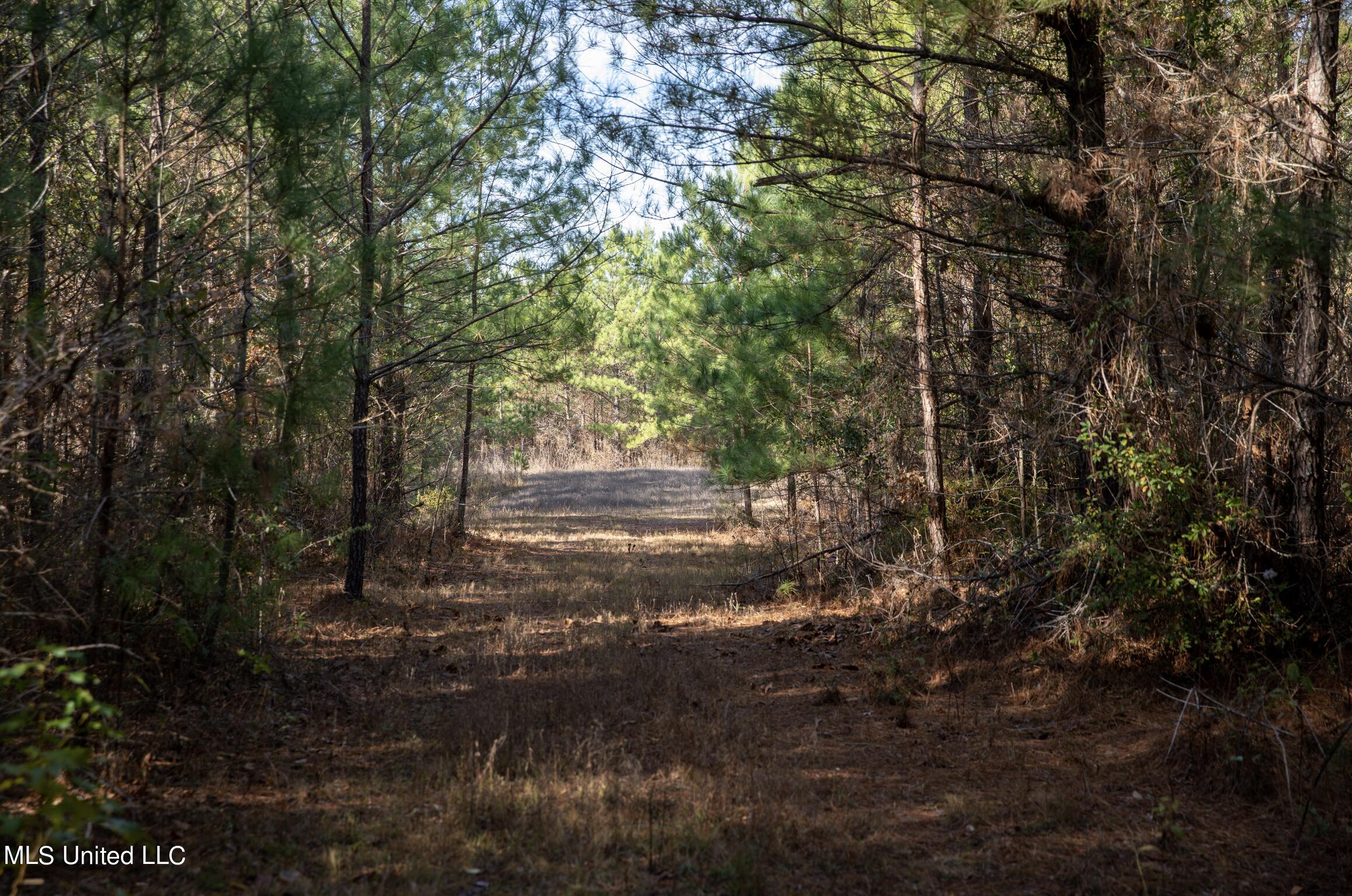 4066 Tower Road Wesson, MS 39191 - Photo 16 of 38 Screen Shot 2023-12-13 at 5.20.07 PM