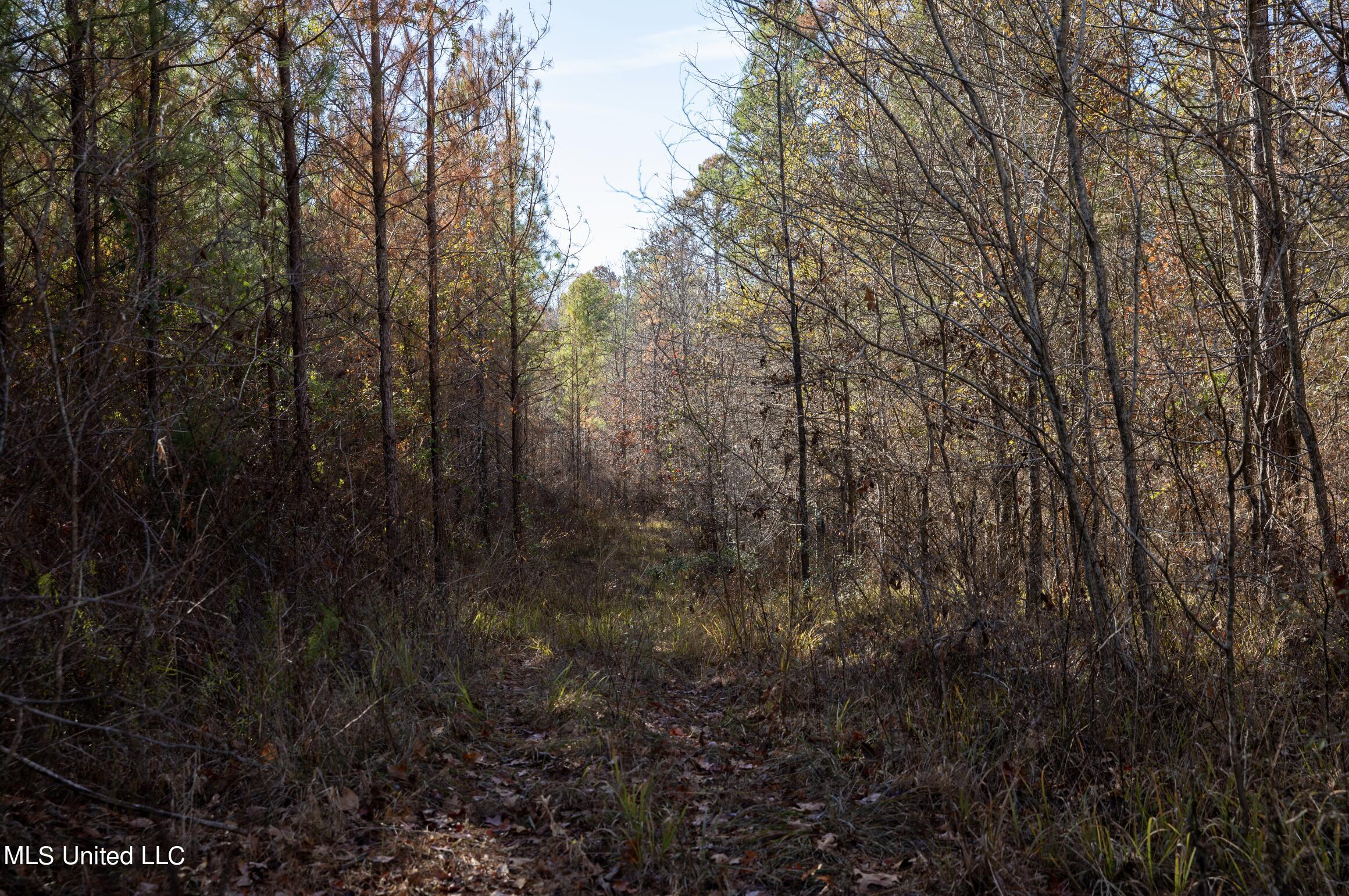 4066 Tower Road Wesson, MS 39191 - Photo 17 of 38 Screen Shot 2023-12-13 at 5.19.12 PM