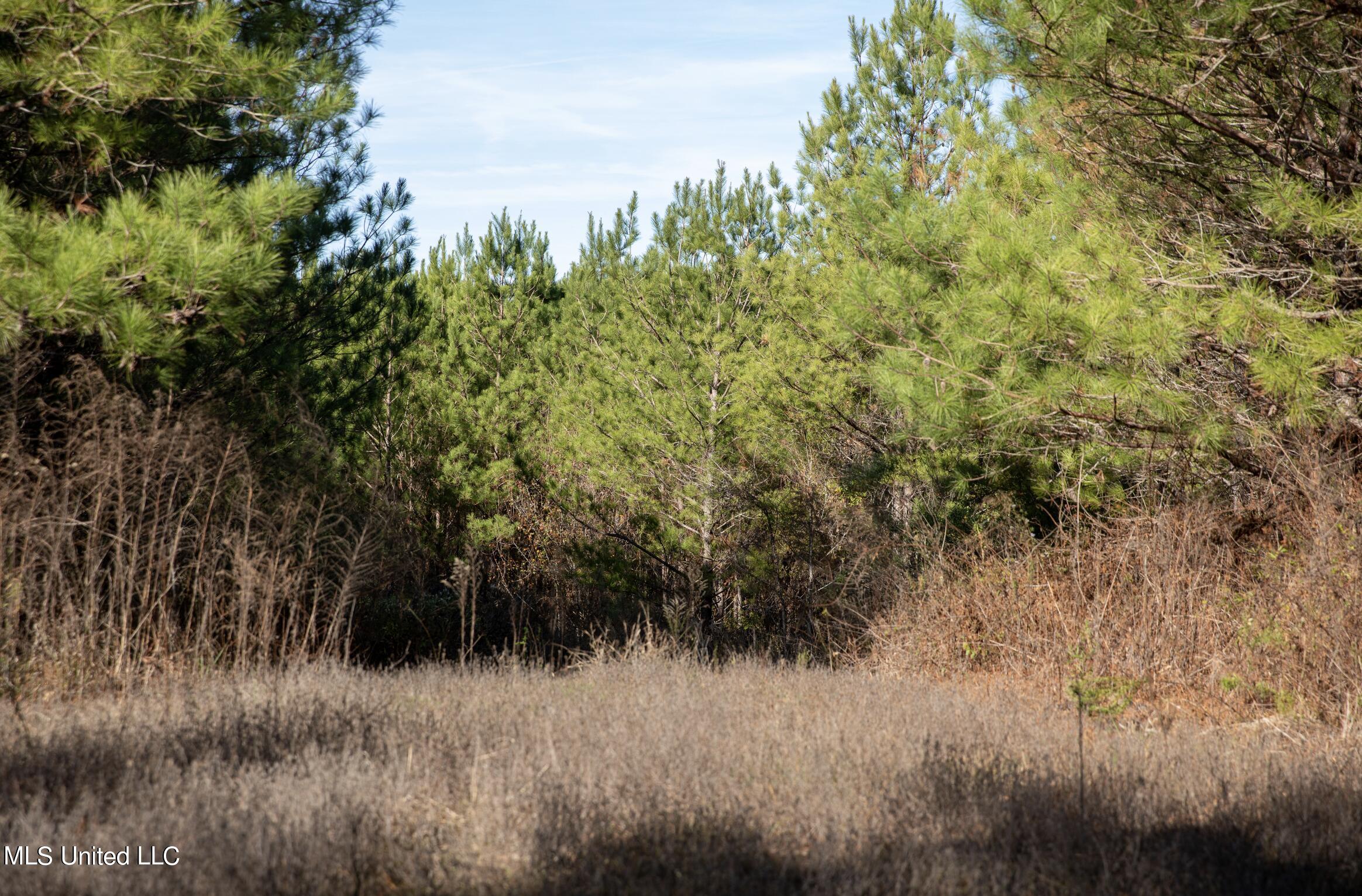 4066 Tower Road Wesson, MS 39191 - Photo 18 of 38 Screen Shot 2023-12-13 at 5.19.55 PM