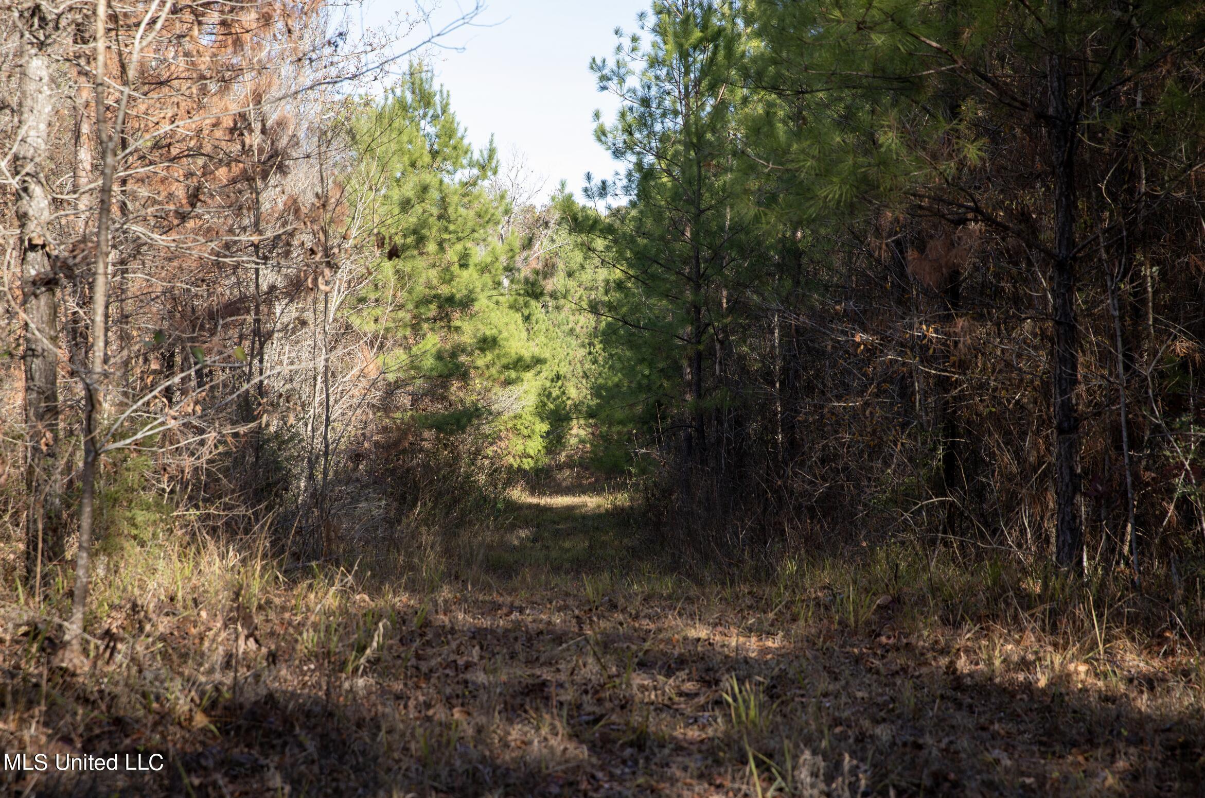 4066 Tower Road Wesson, MS 39191 - Photo 20 of 38 Screen Shot 2023-12-13 at 5.19.06 PM