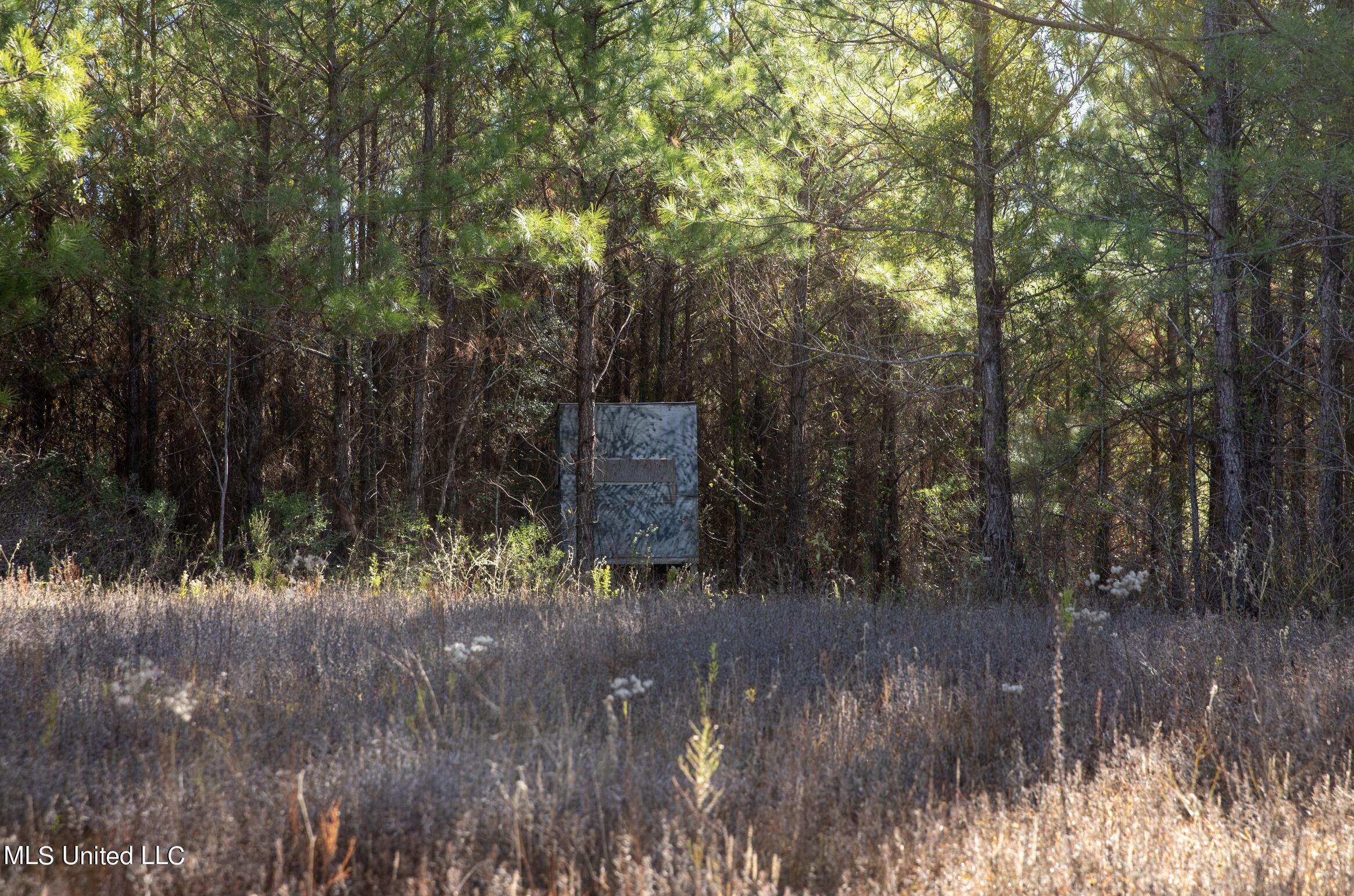 4066 Tower Road Wesson, MS 39191 - Photo 21 of 38 Screen Shot 2023-12-13 at 5.19.00 PM