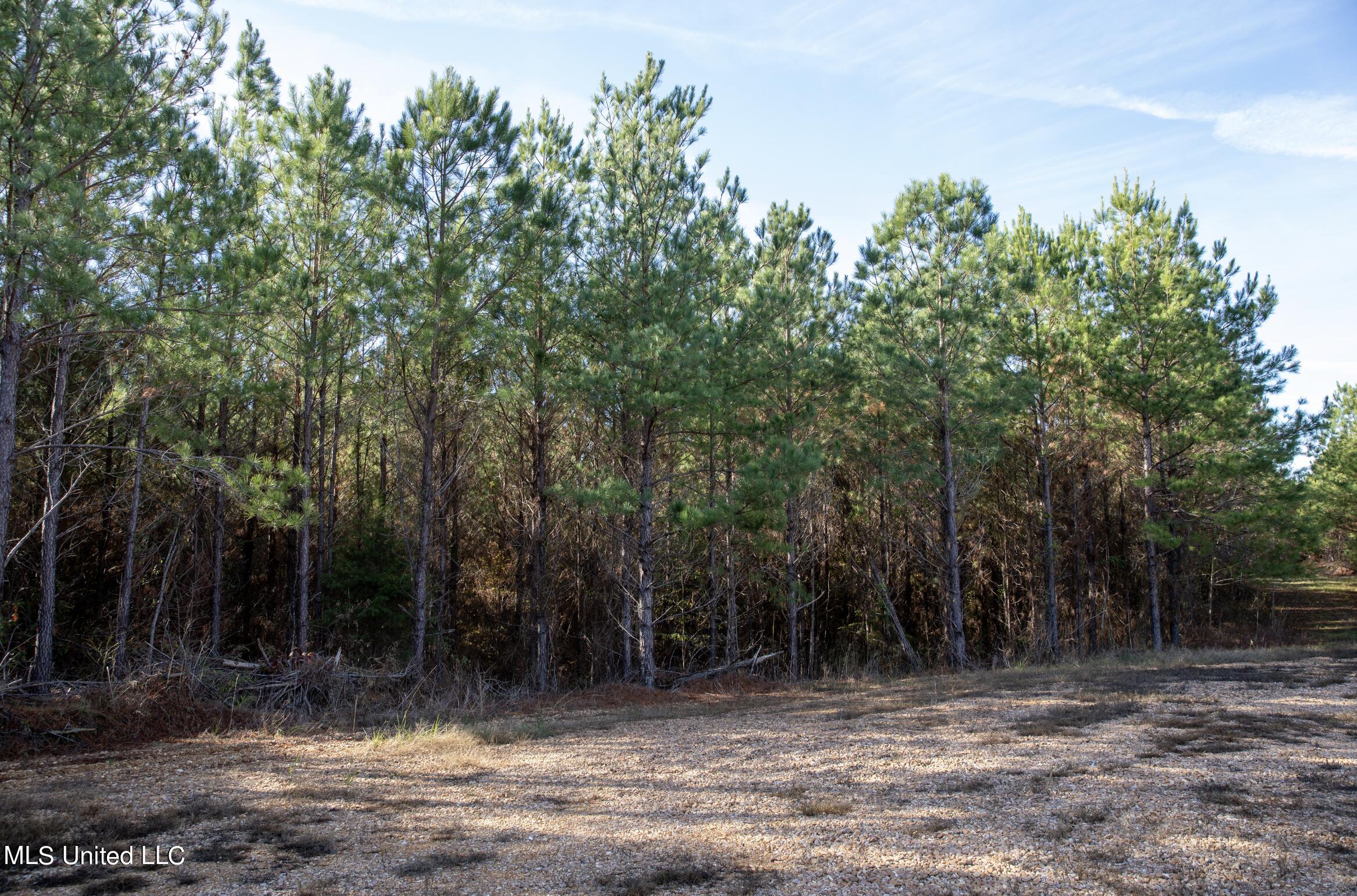 4066 Tower Road Wesson, MS 39191 - Photo 22 of 38 Screen Shot 2023-12-13 at 5.18.46 PM