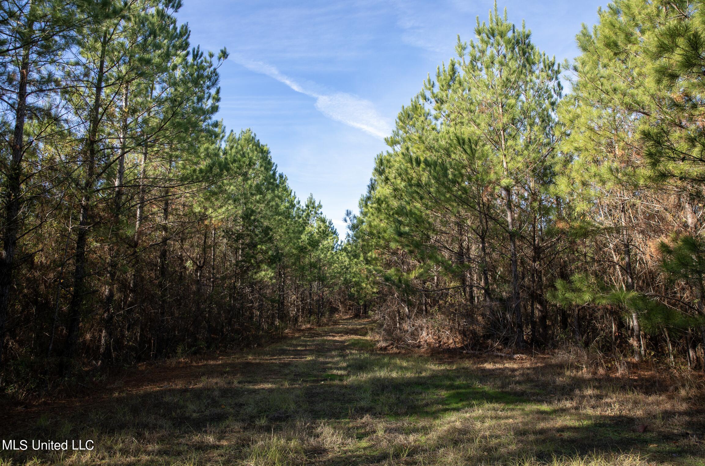 4066 Tower Road Wesson, MS 39191 - Photo 23 of 38 Screen Shot 2023-12-13 at 5.18.28 PM