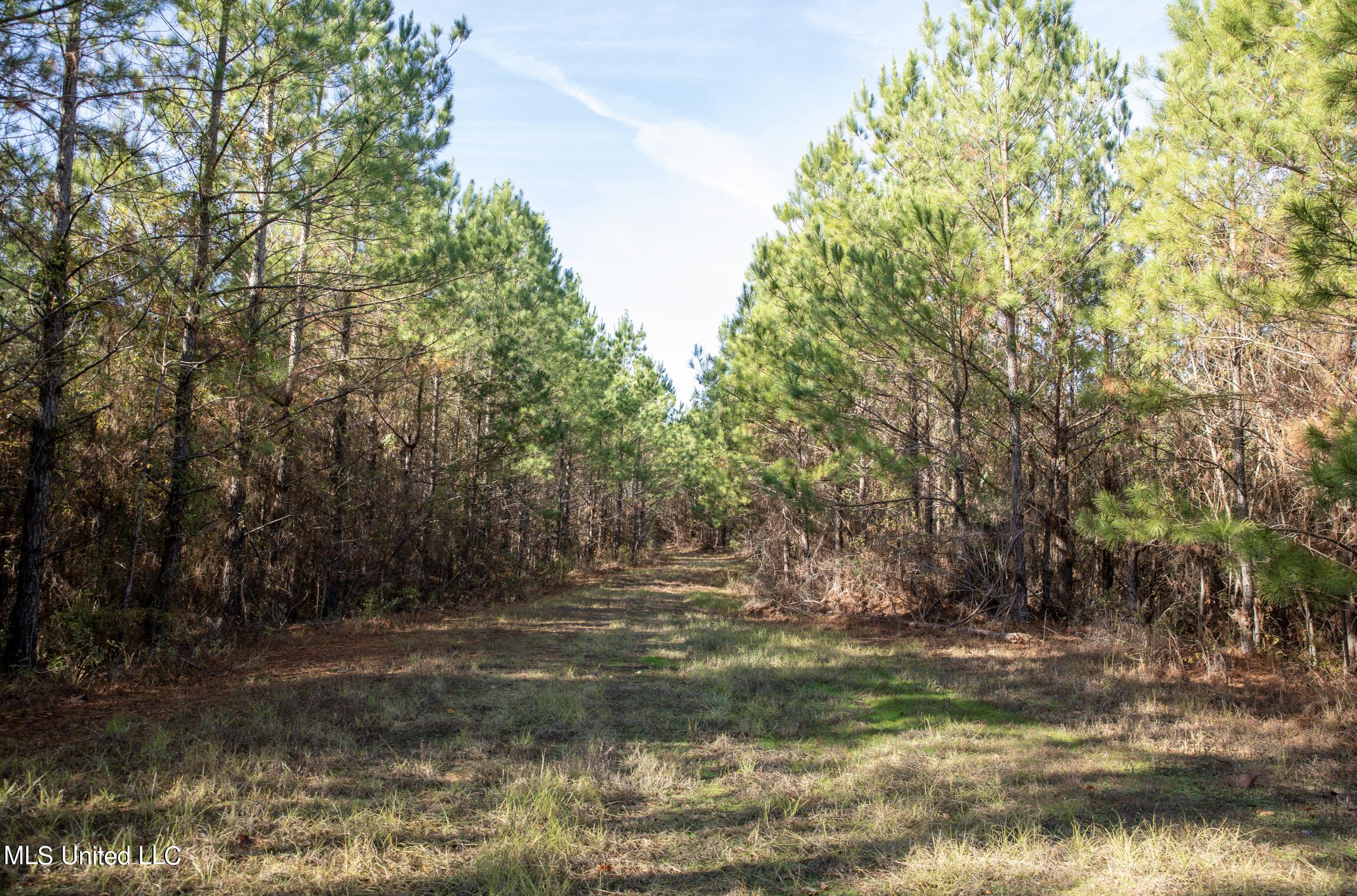 4066 Tower Road Wesson, MS 39191 - Photo 25 of 38 Screen Shot 2023-12-13 at 5.18.40 PM