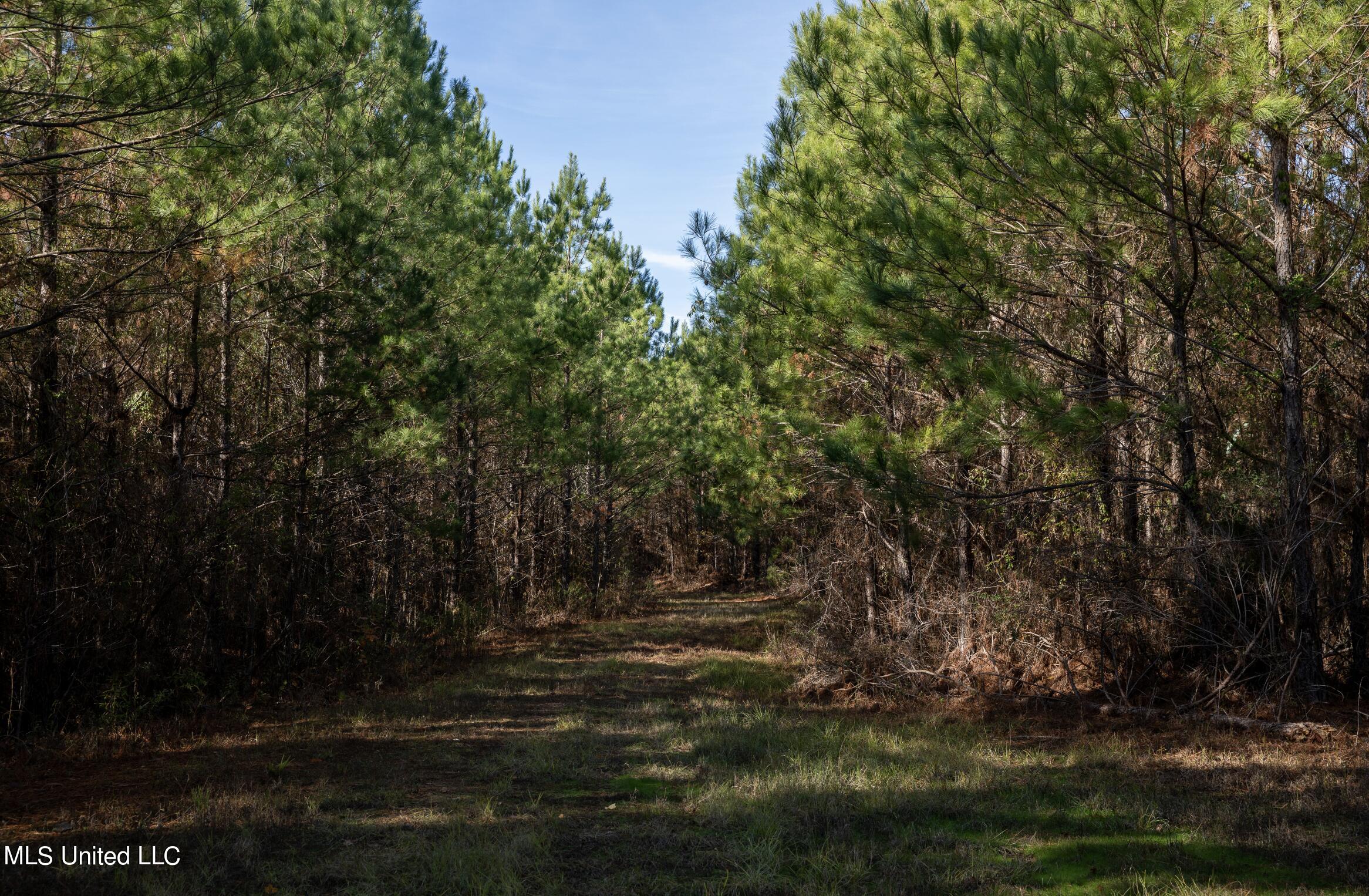 4066 Tower Road Wesson, MS 39191 - Photo 26 of 38 Screen Shot 2023-12-13 at 5.18.34 PM