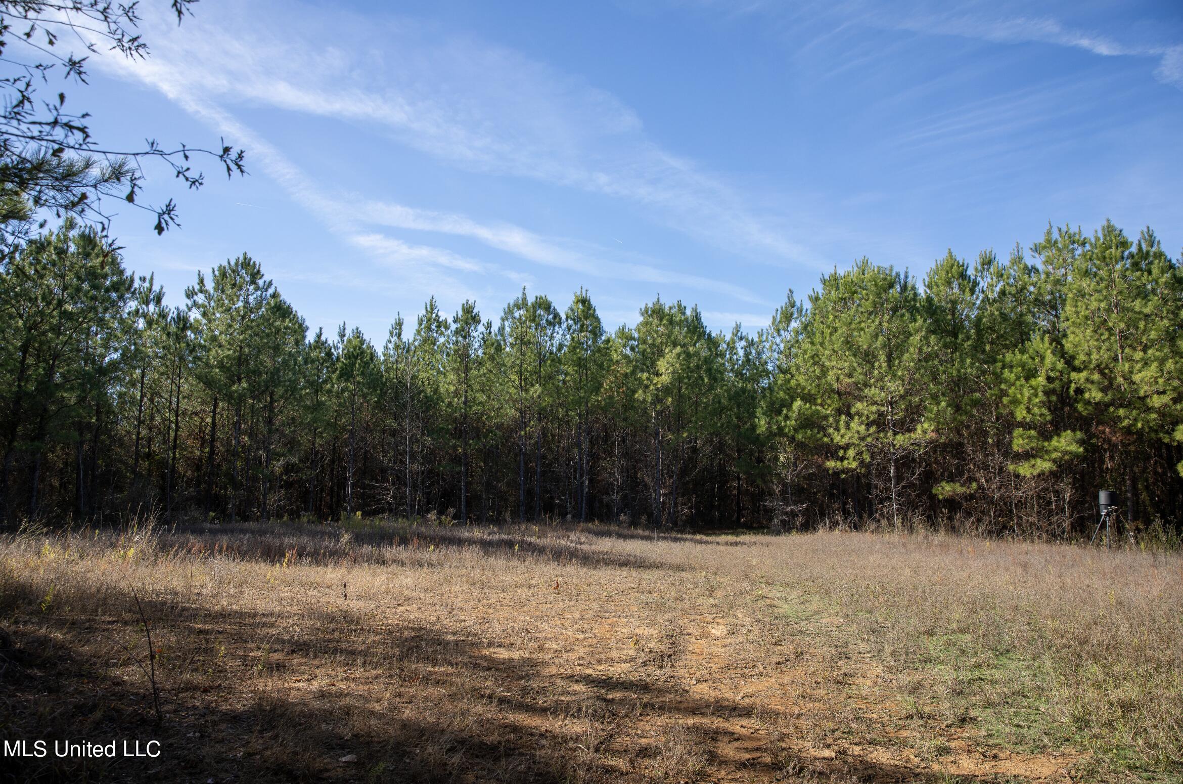 4066 Tower Road Wesson, MS 39191 - Photo 27 of 38 Screen Shot 2023-12-13 at 5.18.22 PM