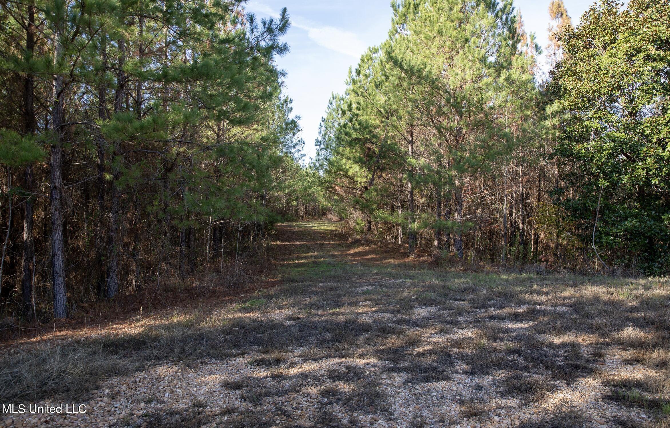 4066 Tower Road Wesson, MS 39191 - Photo 28 of 38 Screen Shot 2023-12-13 at 5.17.56 PM