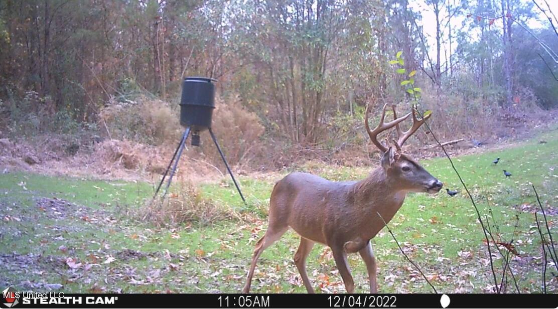 4066 Tower Road Wesson, MS 39191 - Photo 32 of 38 Screen Shot 2023-12-13 at 5.34.39 PM