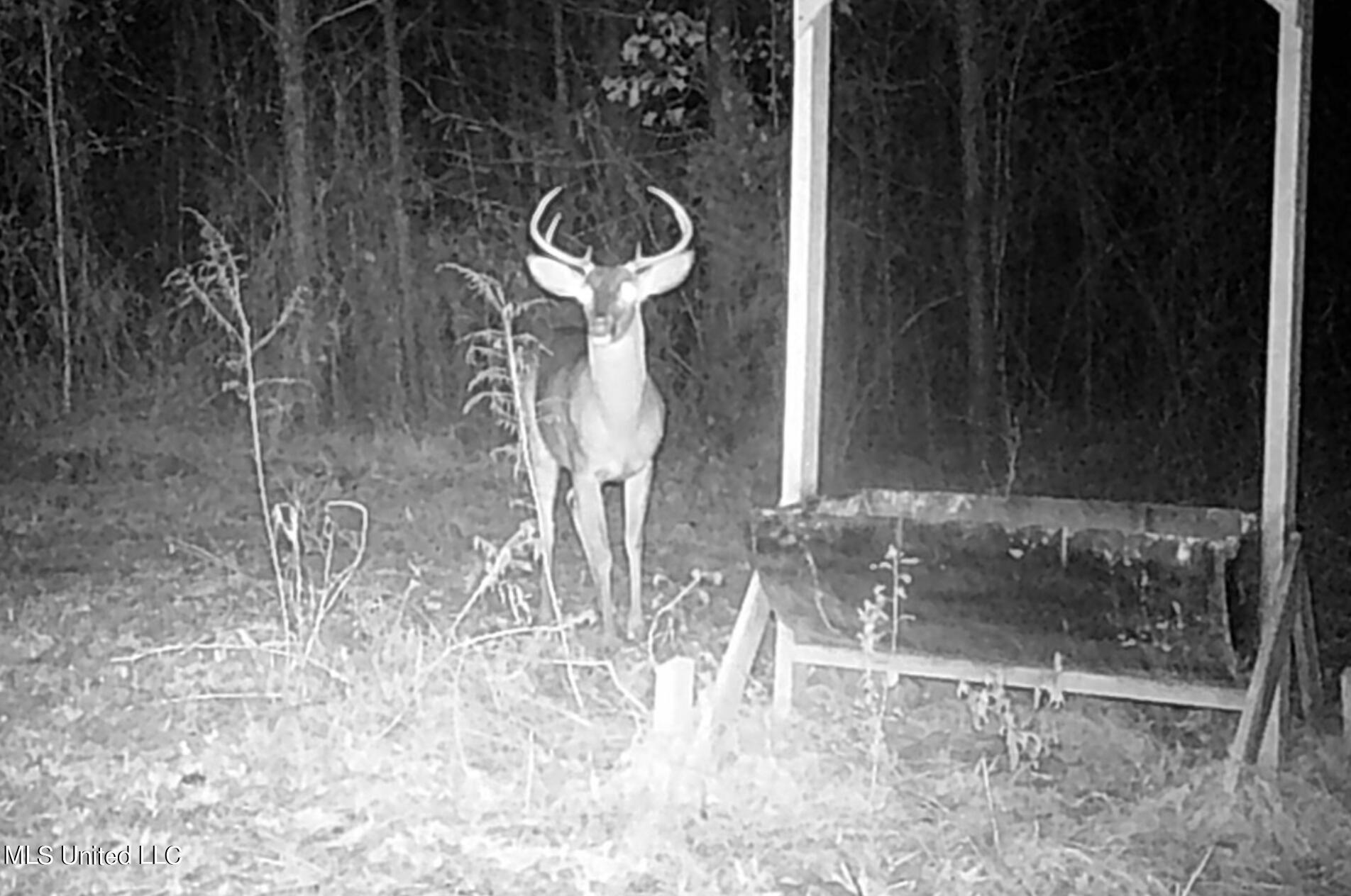 4066 Tower Road Wesson, MS 39191 - Photo 36 of 38 Screen Shot 2023-12-13 at 5.33.52 PM