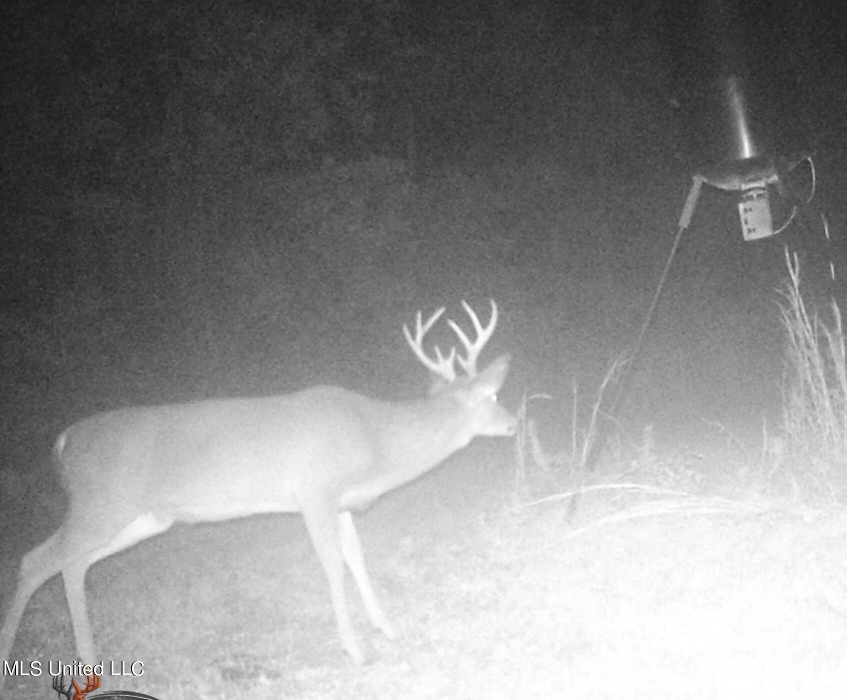 4066 Tower Road Wesson, MS 39191 - Photo 37 of 38 Screen Shot 2023-12-13 at 5.33.46 PM
