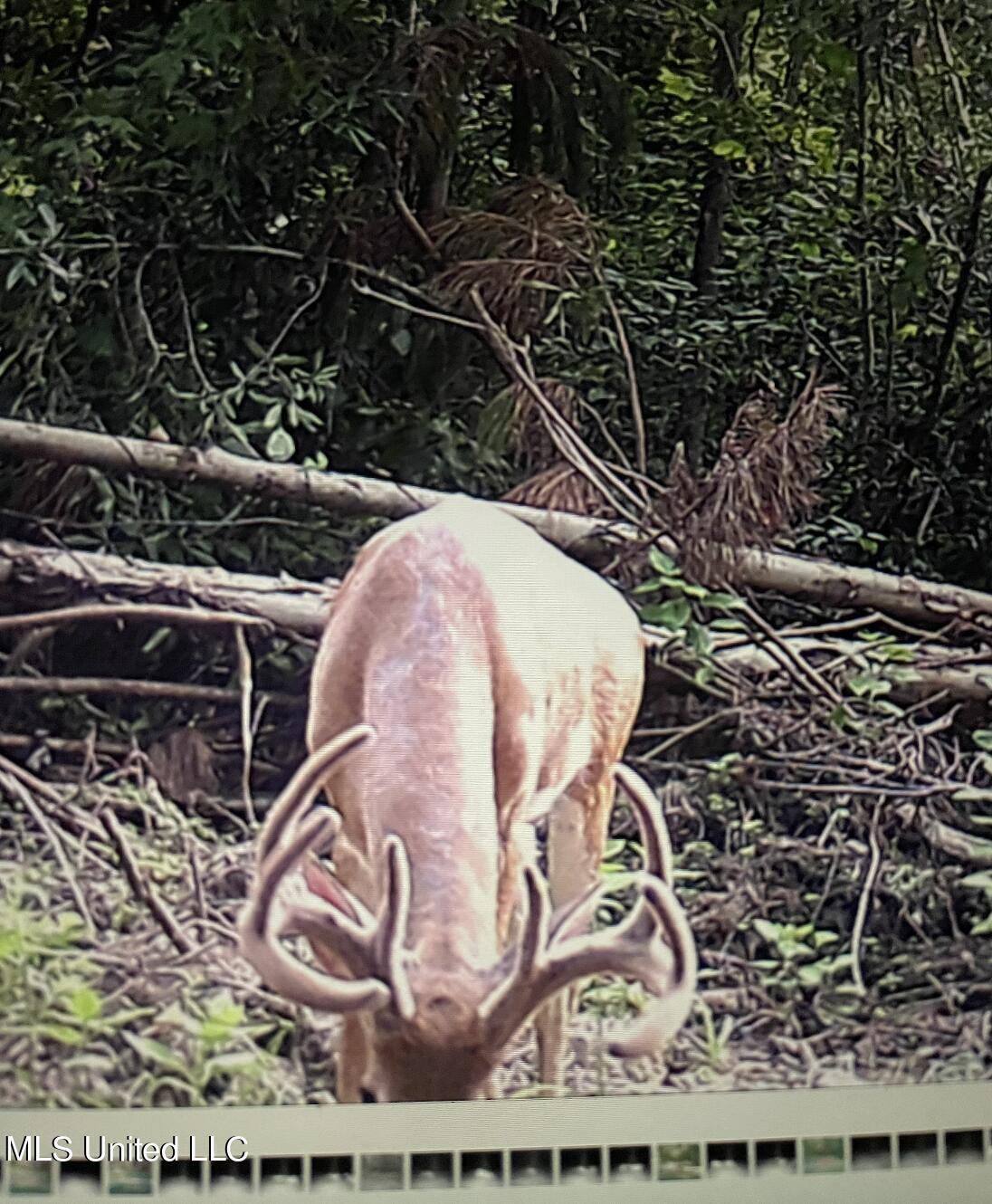 4066 Tower Road Wesson, MS 39191 - Photo 38 of 38 Screen Shot 2023-12-13 at 5.33.38 PM