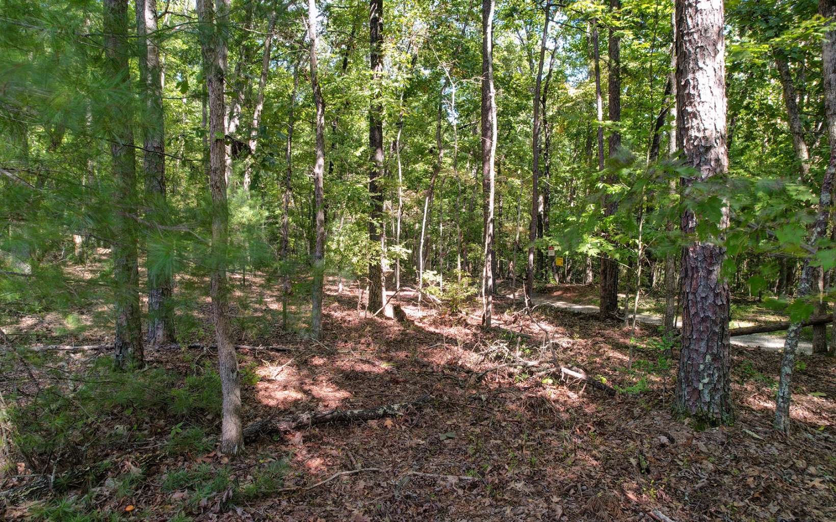Toccoa Farm Road Morganton, GA 30560 - Photo 7 of 17 Additional View