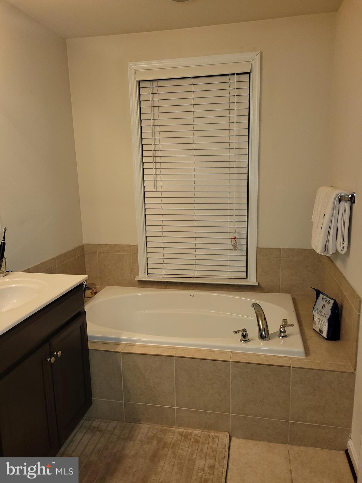 7408 Redleaf Row Road Brandywine, MD 20613 - Photo 6 of 9 Master Bath