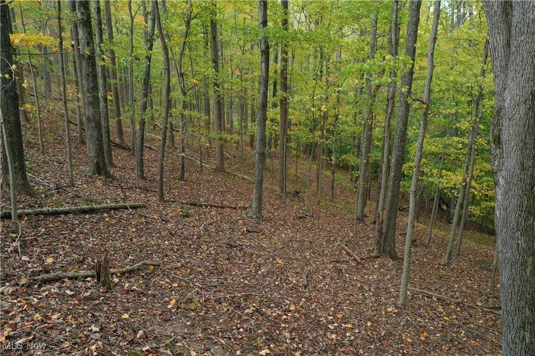 731 Riffle Run Road Grantsville, WV 26147 - Photo 26 of 30