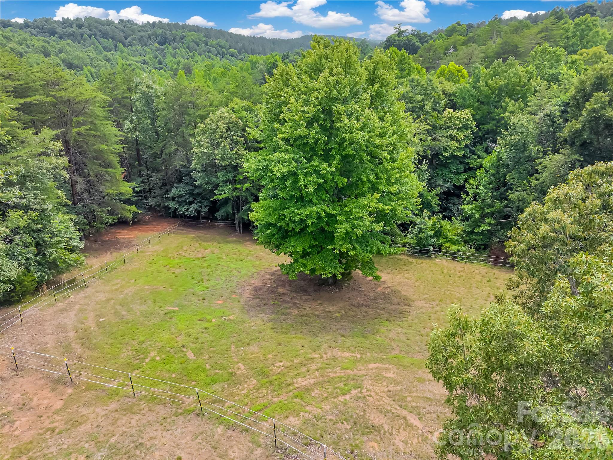 711 Meadow Crest Road Tryon, NC 28782 - Photo 4 of 43