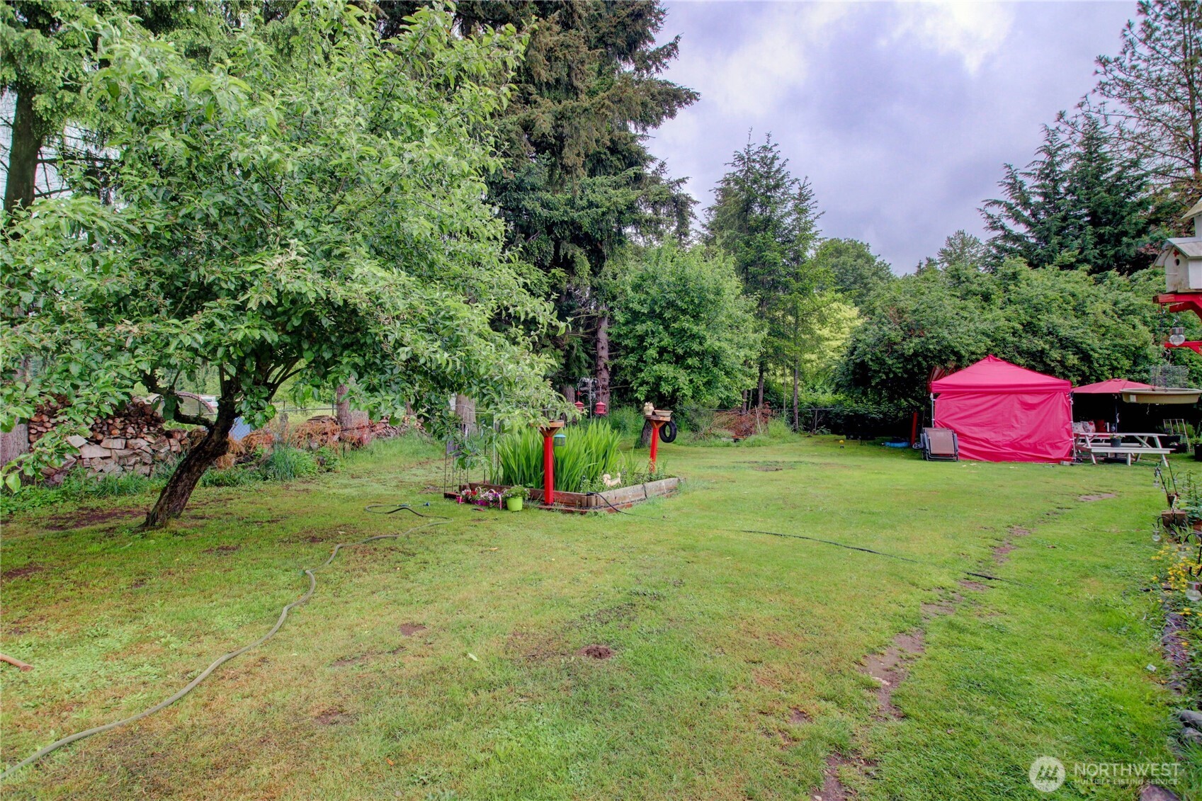 7185 Old Highway 99 North Road Burlington, WA 98233 - Photo 8 of 26 a view of a yard with a slide and a tree