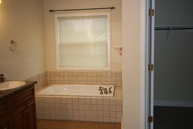 110 Country Way Road Vonore, TN 37885 - Photo 13 of 34 MASTER BATH