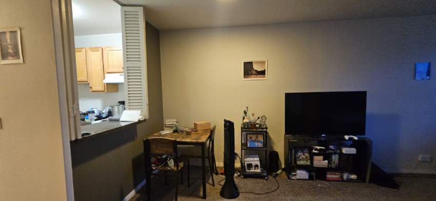 555 West Cornelia Avenue, Unit 2003 Chicago, IL 60657 - Photo 4 of 19