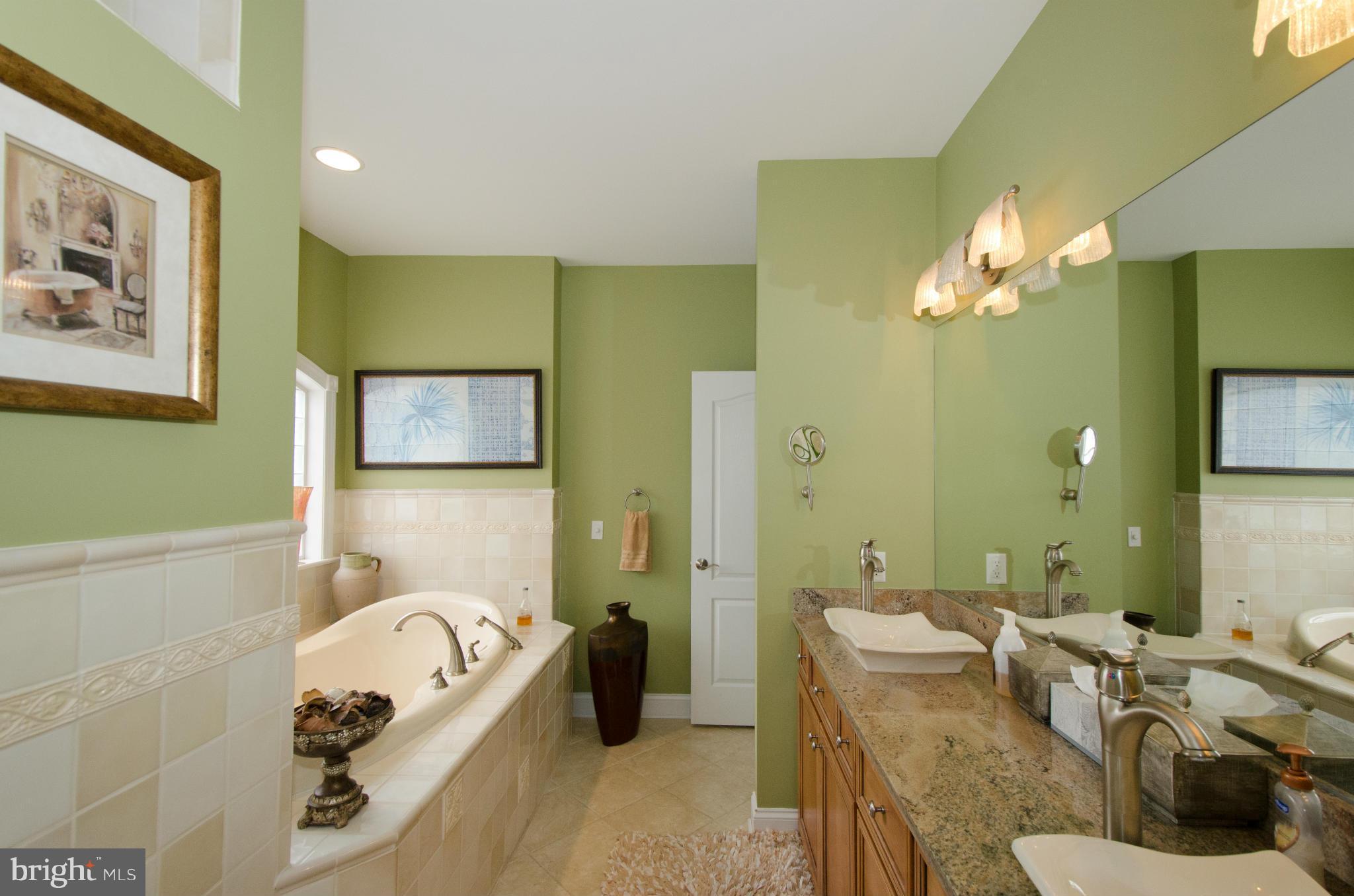 1003 Cold Spring Road Baltimore, MD 21220 - Photo 14 of 30 Luxe master bath with tub
