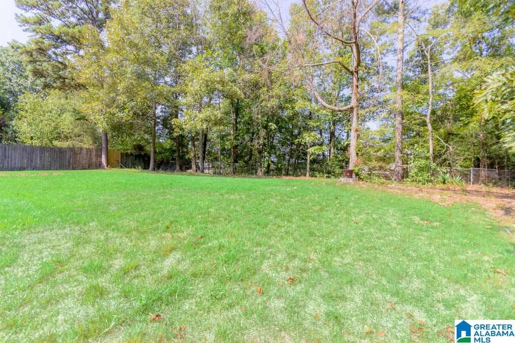 5886 Willow Ridge Road Pinson, AL 35126 - Photo 37 of 37