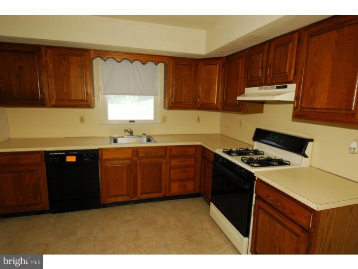 1730 Acorn Drive Sinking Spring, PA 19608 - Photo 3 of 16