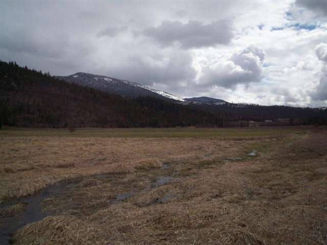 2600 Cedonia-Addy Road Addy, WA 99101 - Photo 5 of 9
