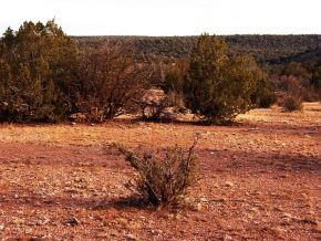 363 R R-Rock Road Ash Fork, AZ 86320 - Photo 4 of 10 Additional Photo