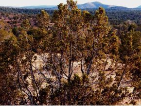 363 R R-Rock Road Ash Fork, AZ 86320 - Photo 8 of 10 Additional Photo