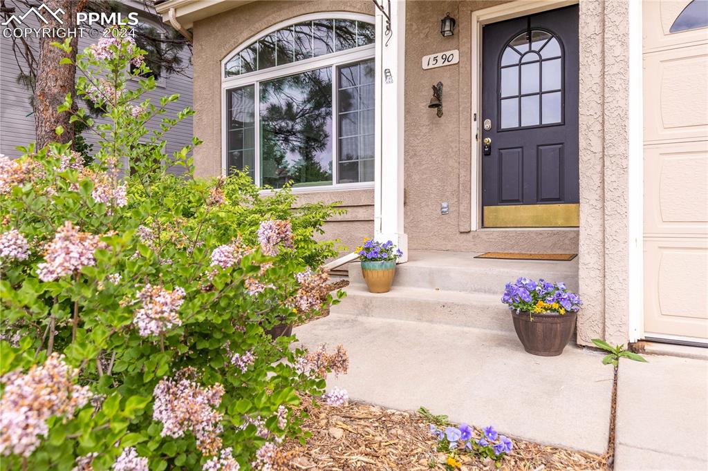 1590 Spring Water Way Highlands Ranch, CO 80129 - Photo 3 of 44 a flower garden is sitting in front of a house