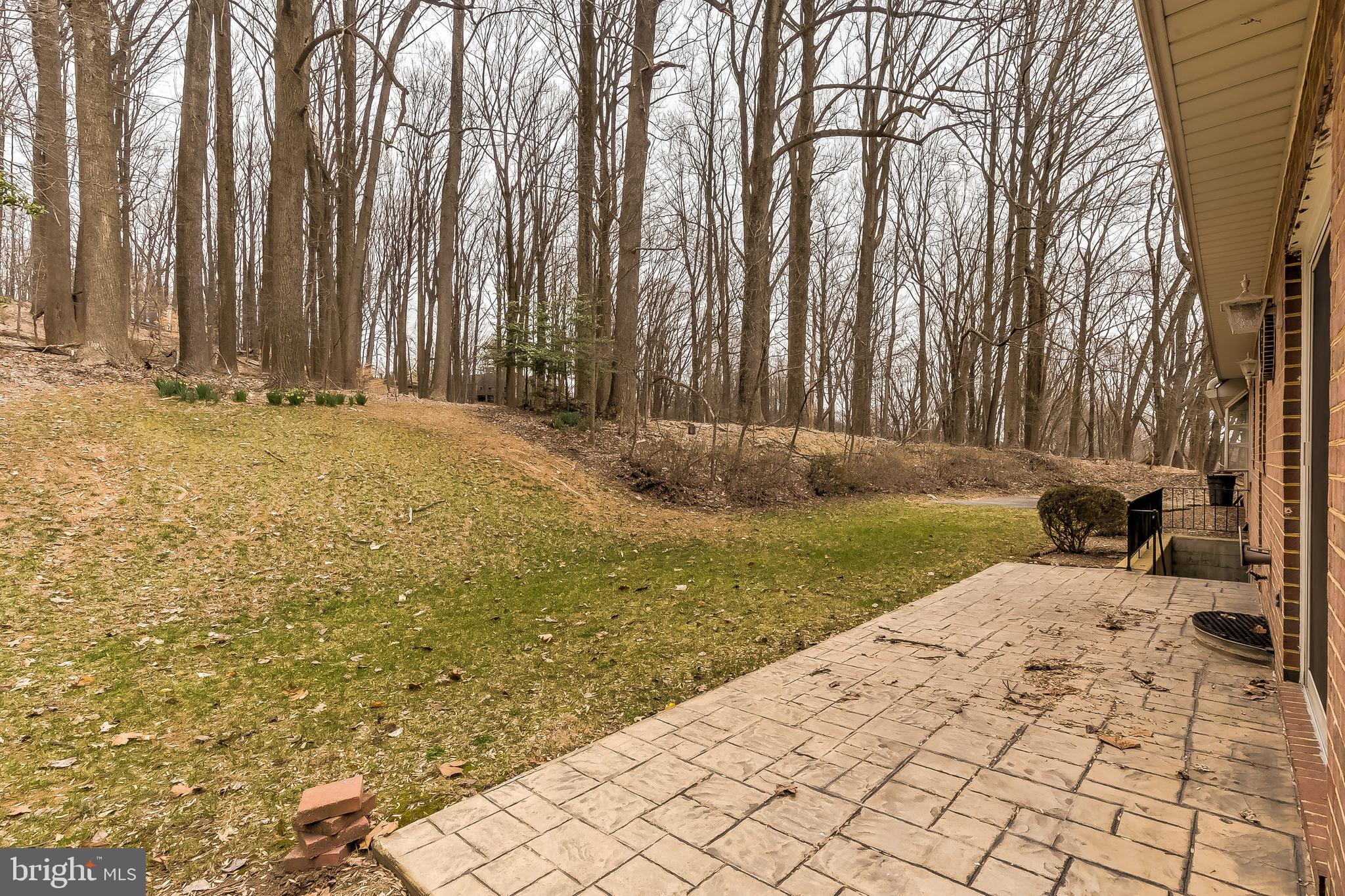 1204 Temfield Road Baltimore, MD 21286 - Photo 50 of 53 Patio to Rear Yard