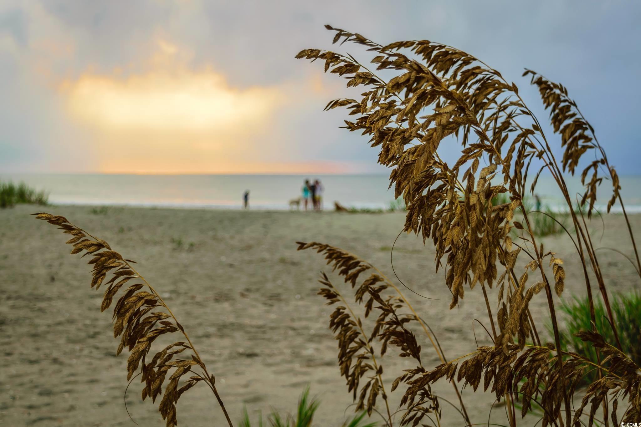 7809 Monarch Drive Myrtle Beach, SC 29572 - Photo 32 of 33 Water view with nearby beach