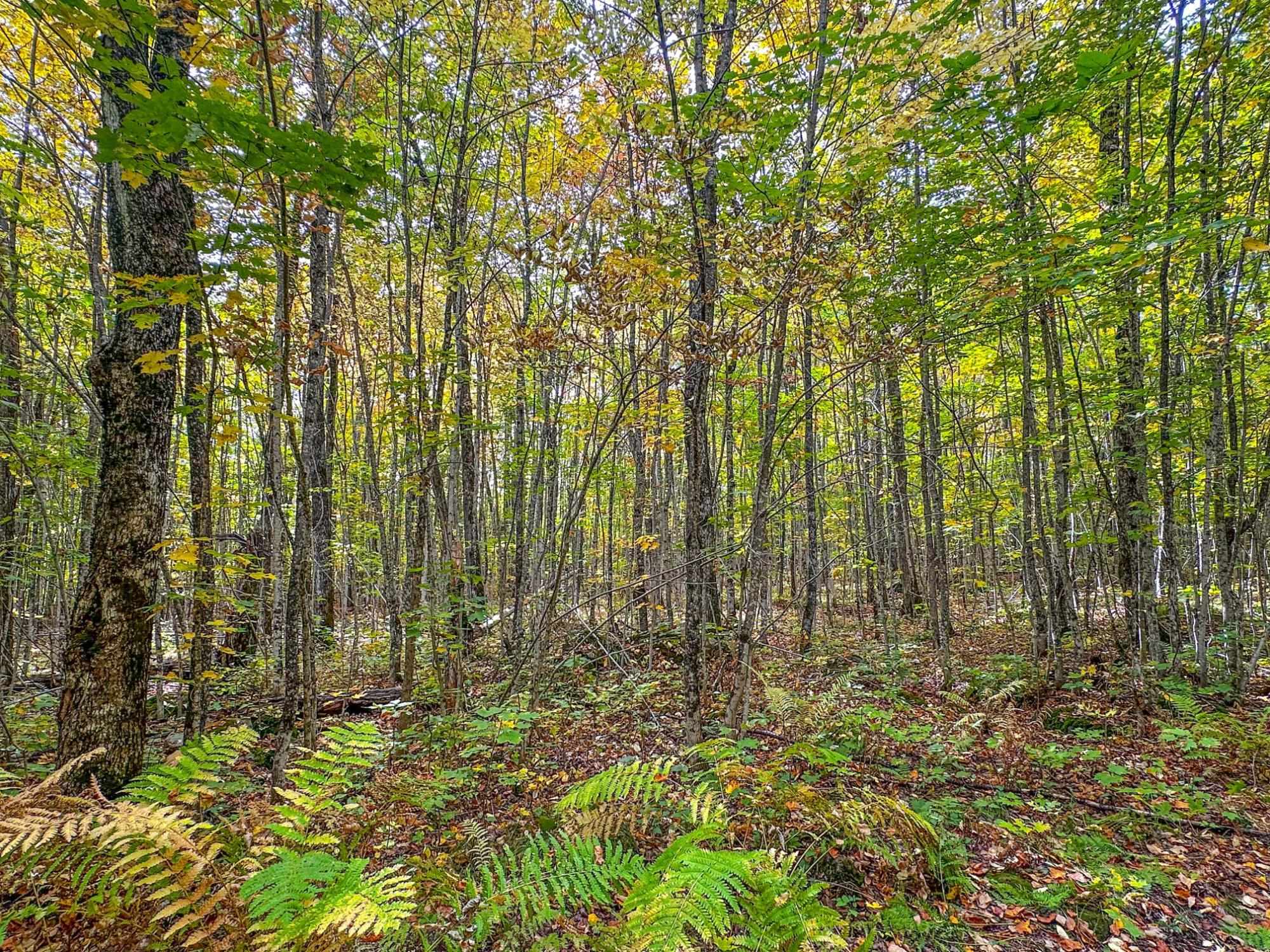 72281 Hennes Road Glidden, WI 54527 - Photo 26 of 50