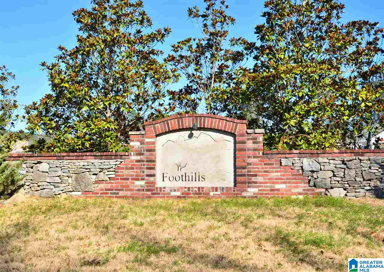 412 Foothills Parkway Chelsea, AL 35043 - Photo 41 of 41
