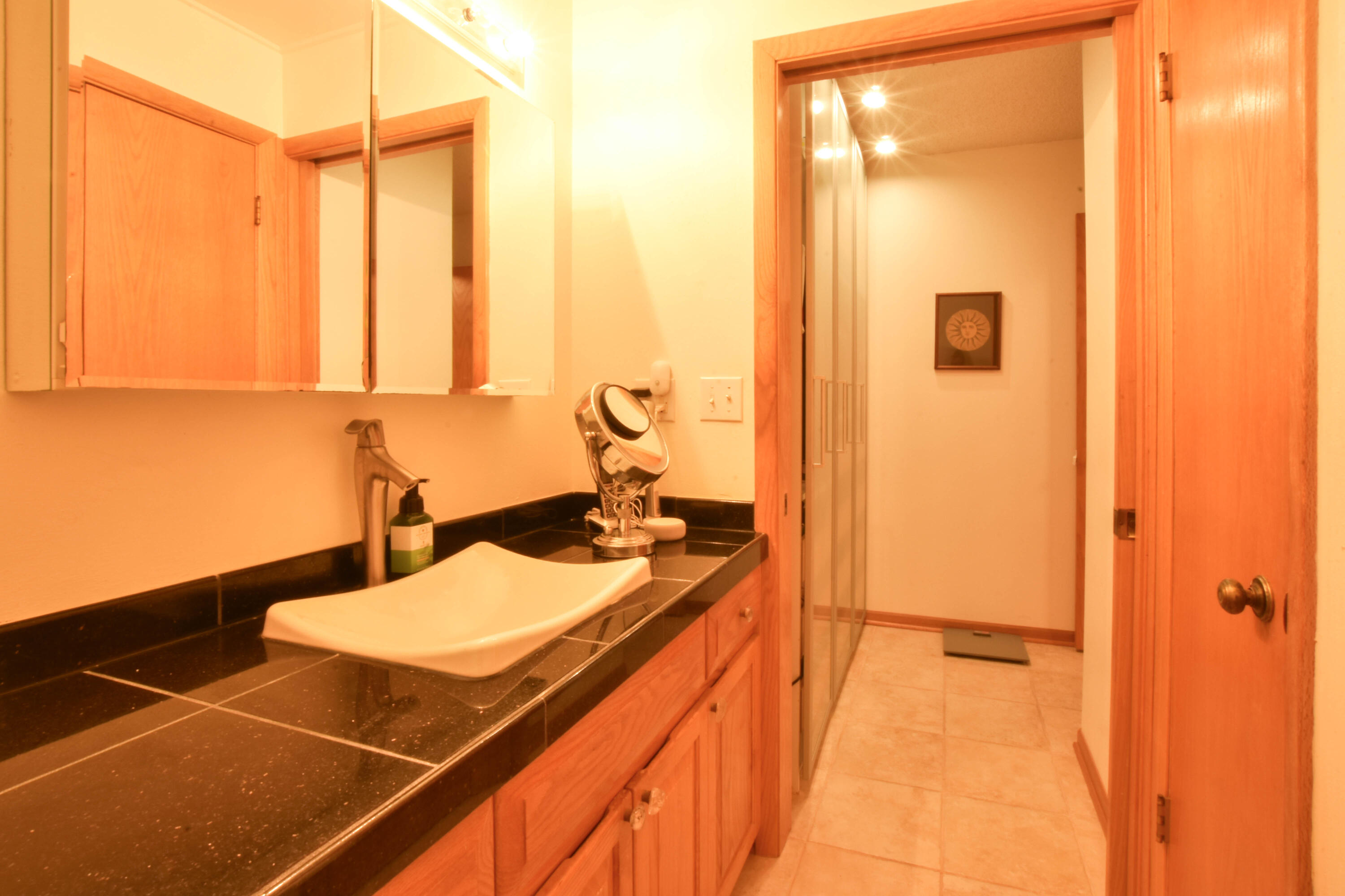 15731 West Brook Drive New Berlin, WI 53151 - Photo 16 of 26 Master Bath