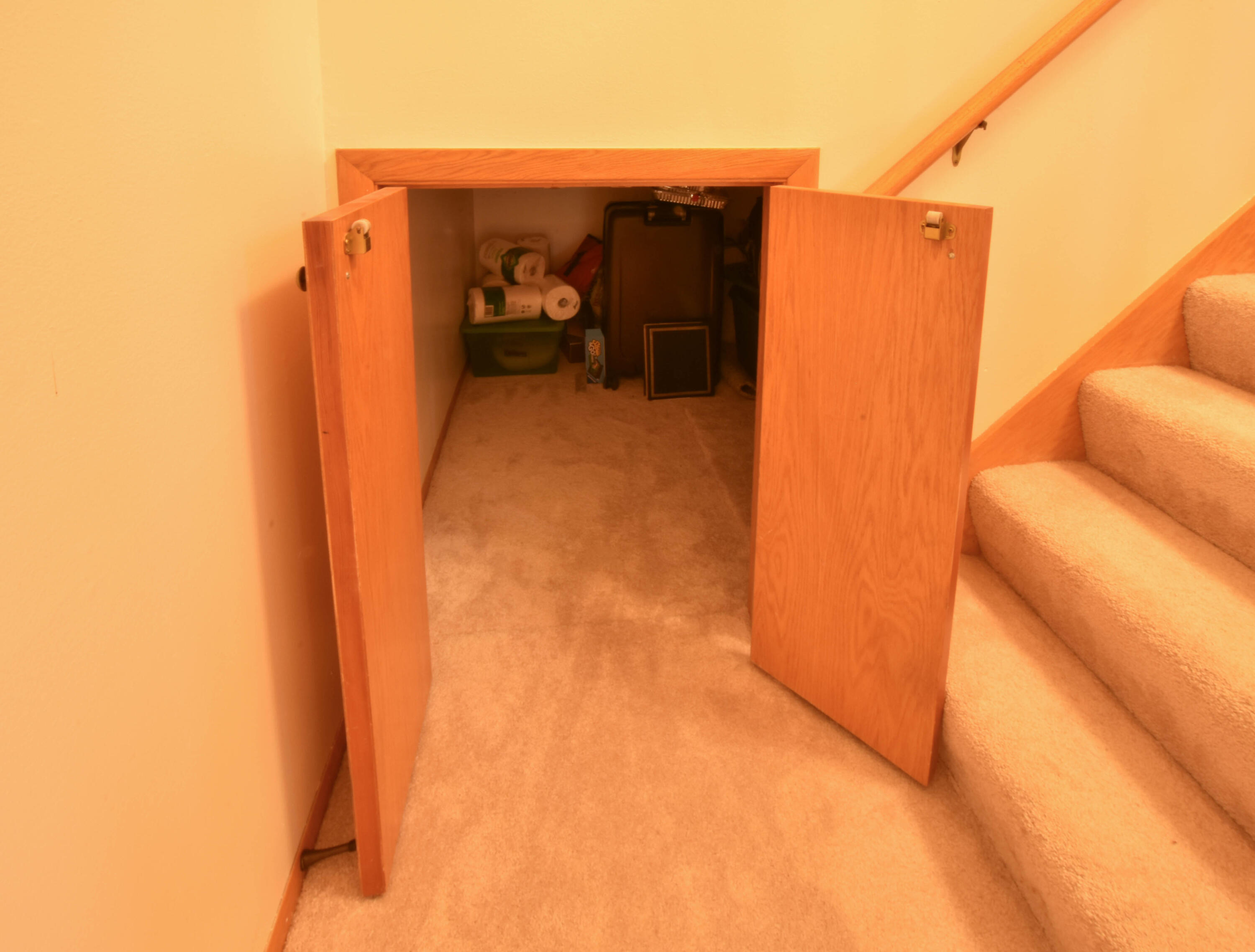 15731 West Brook Drive New Berlin, WI 53151 - Photo 18 of 26 Storage