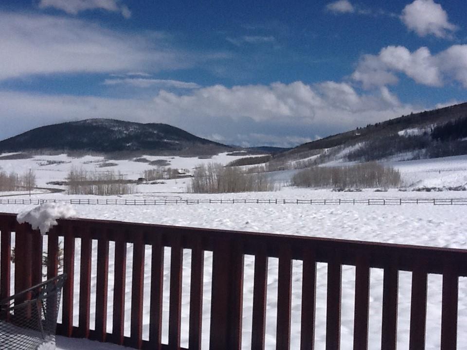 114 Round Hill Road Fairplay, CO 80440 - Photo 27 of 35 a view of balcony with wooden floor and fence