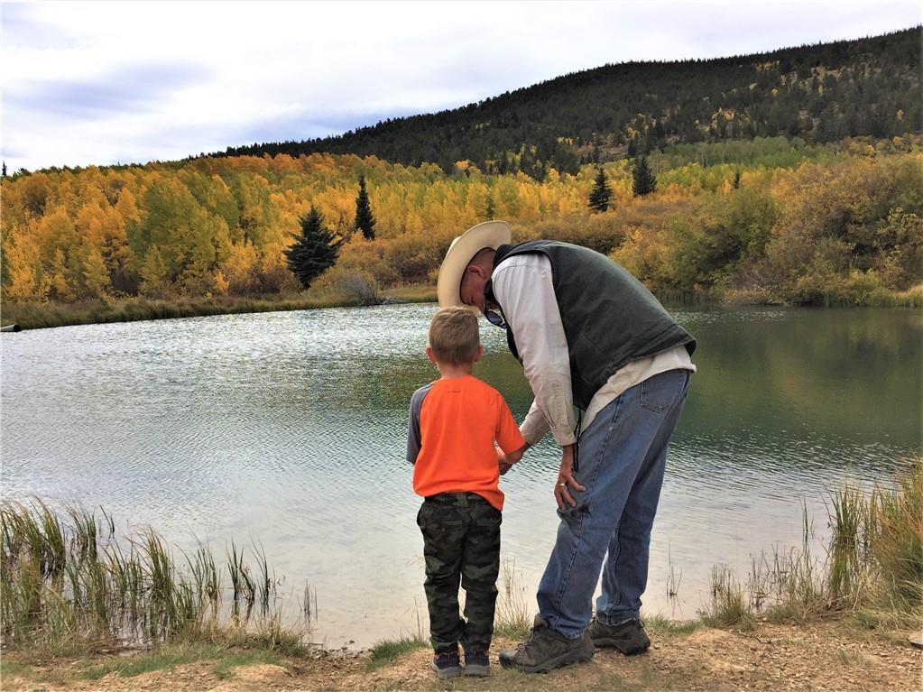 114 Round Hill Road Fairplay, CO 80440 - Photo 28 of 35 a view of swimming pool from a lake