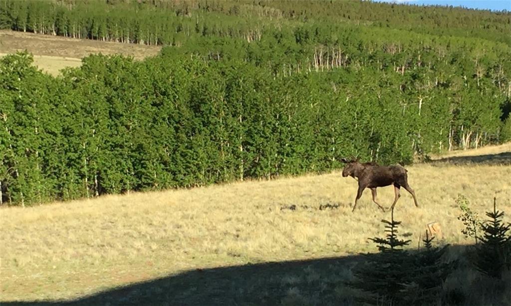 114 Round Hill Road Fairplay, CO 80440 - Photo 30 of 35