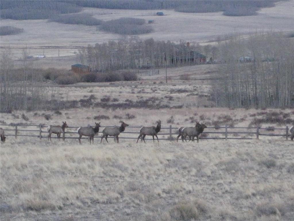 114 Round Hill Road Fairplay, CO 80440 - Photo 31 of 35 a view of an outdoor space